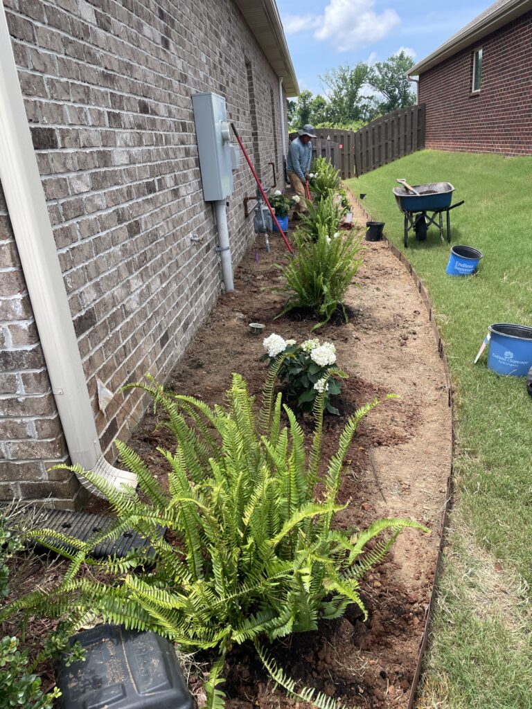 After — fresh sod installed by PHES Landscaping