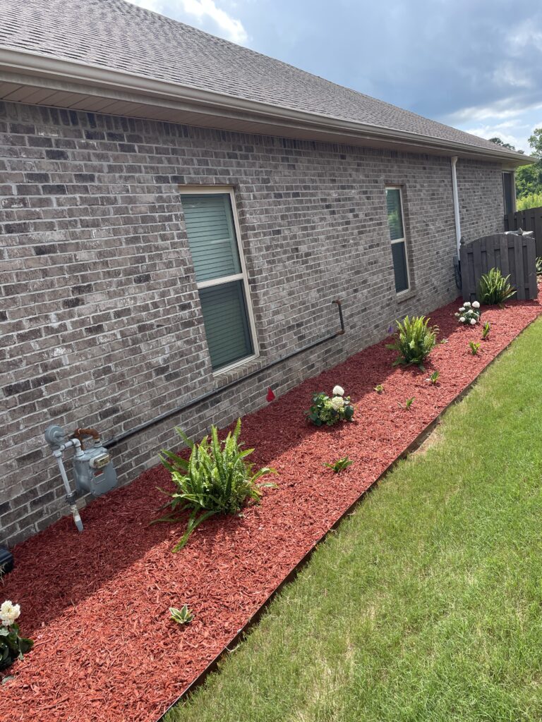 Before — graded bare ground