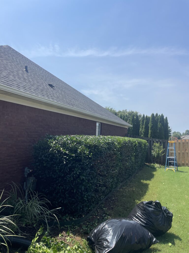 Finished lawn by PHES Landscaping